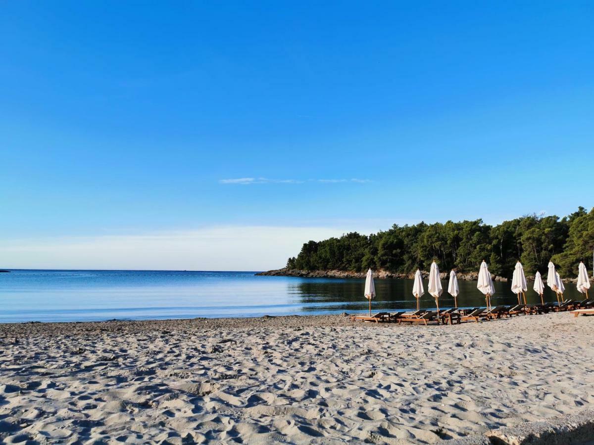 Summer time! - Picture of Summer Time, Paliouri - Tripadvisor